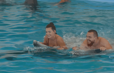 Insula iubirii, 31 mai 2022. O scenă neprevăzută tulbură o întâlnire de la parcul acvatic. Ce pătește Alex