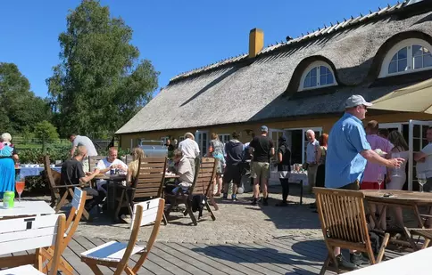 (P) 5 greseli pe care sa nu le faci atunci cand dai o petrecere in gradina