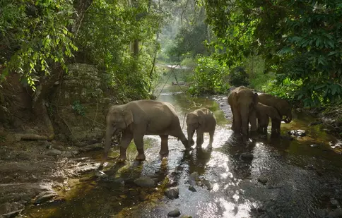 Premierele lunii august 2023 la National Geographic și National Geographic Wild