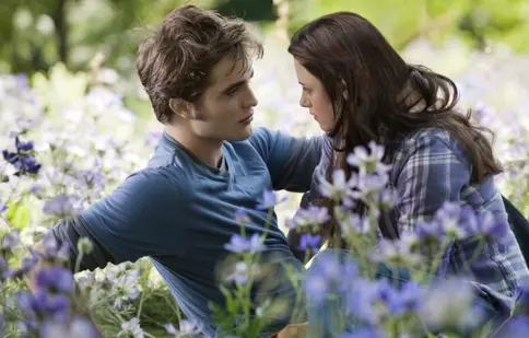 Stephenie Meyer a rescris „Saga Amurg”