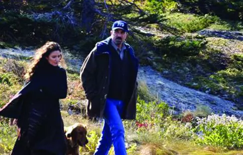 Pe urmele vinovatului