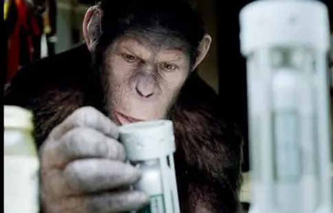 Planeta maimuţelor: Invazia