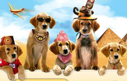 Căutătorii de comori