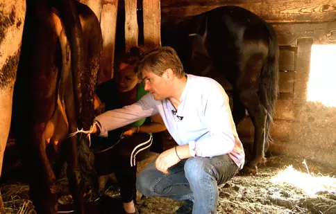 Mircea Radu a muls vaca în Maramureş