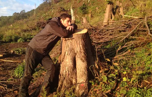 Alex Dima vrea să schimbe legea: "tăierile ilegale, atentat la siguranţa naţională"