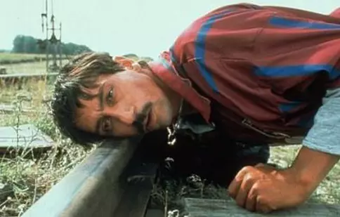 Pisica albă, pisica neagră