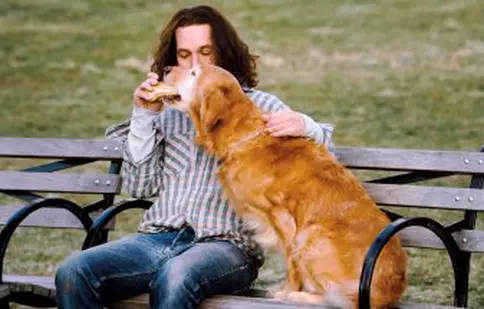 Oaia neagră a familiei