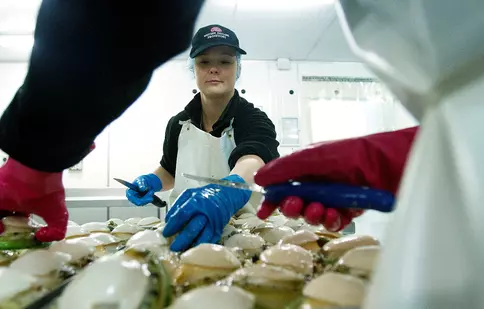 "Aurul viu al Australiei", noua emisiune Discovery, începe pe 14 iulie