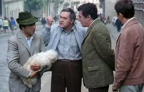 B.D. intră în acţiune