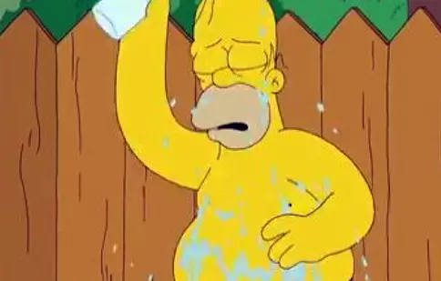 VIDEO: Ice Bucket Challenge a ajuns în Springfield