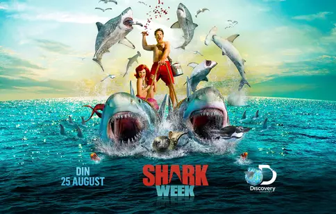 „Shark Week” / “Săptămâna rechinilor”, la Discovery, Animal Planet și Prima TV