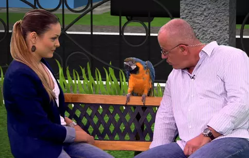 Digi Animal World va avea o emisiune producţie proprie, “Digi Animal Club”