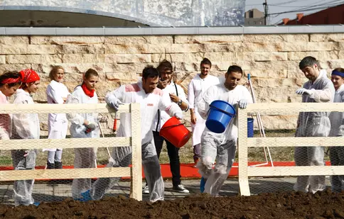 Cartoful le dă bătăi de cap concurenților ”Hell’s Kitchen” | FOTO