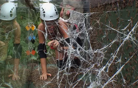 Pro TV va face o emisiune în Africa de Sud: „I’m a celebrity, get me out of here”