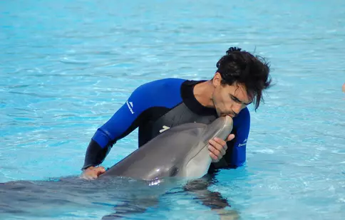 Andrei Andrei înoată cu delfinii în semifinala „Burlacul”