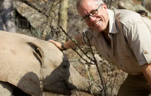 „Teroriștii fildeșului”, o anchetă sub acoperire despre comerțul ilegal de fildeș