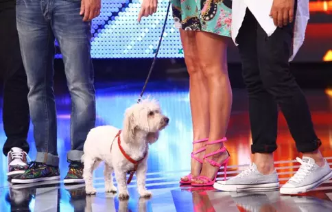 Avem un jurat nou la “X Factor”