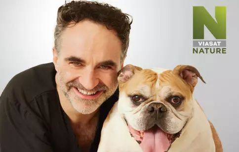 „Supervet”, în fiecare joi, la Viasat Nature