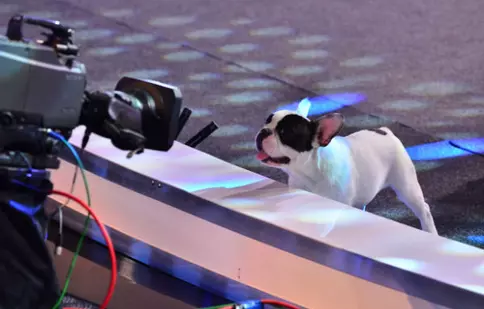 “Ham talent” începe duminică, 18 octombrie, de la ora 20.30, la Antena 1