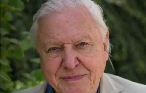 Echipa lui David Attenborough a fost jefuită de un urs polar