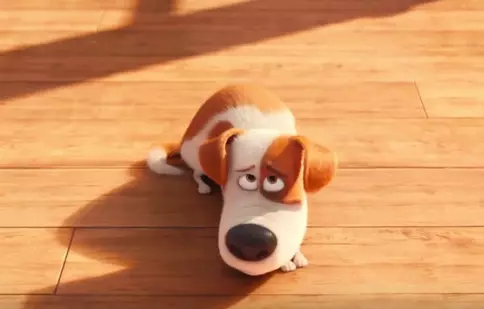 Animația „The Secret Life of Pets” / „Singuri acasă” are trailer nou