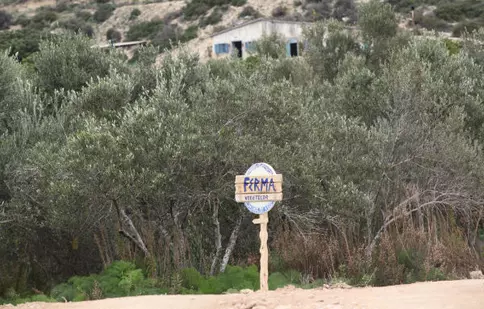 Mâine începe “Ferma vedetelor”. Ce nu trebuie să ratezi!