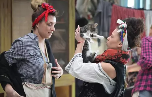 Rezumat la „Fermă…”: măgarul Tarzan a fugit și portocalele au dispărut!