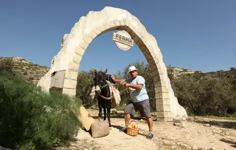 Modificare Pro TV: “Ferma vedetelor” va avea 3 ediții pe săptămână