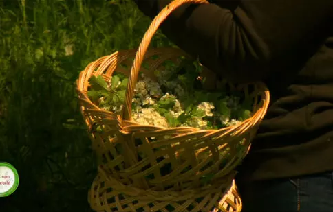 Digi Life lansează seria de minidocumentare „Vraci, secrete și rețete”