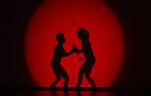 Teatru de păpuși, balet rusesc și muzică bună, azi, la “Next Star”