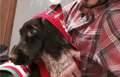 Ce animale de companie şi-au ales vedetele tale preferate