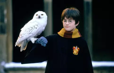 Digi Film difuzează din 4 decembrie întreaga serie „Harry Potter”