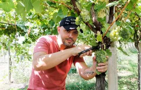 De ce îi este Mihai Mitoșeru recunoscător lui Nea Mărin