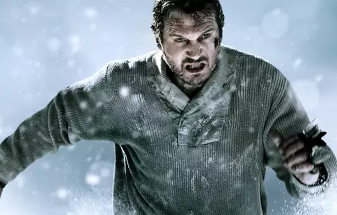 Recomandarea TVmania pentru seara de marți, 3 octombrie: „The Grey: La limita supraviețuirii”  cu Liam Neeson și Dermot Mulroney