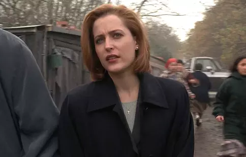 După „Dosarele X” și „Zei americani”, Gillian Anderson are un nou proiect. Actrița a semnat cu Netflix