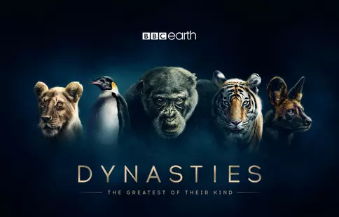 GALERIE FOTO. Din 22 noiembrie, BBC Earth începe difuzarea seriei documentare „Dinastii”