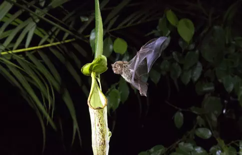 GALERIE FOTO. Netflix prezintă imagini în premieră din noul serial documentar „Planeta noastră”