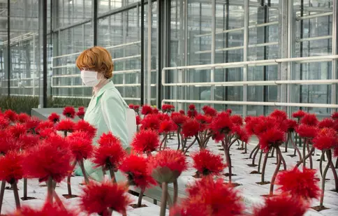 Câștigătorul Palme d’Or și marile premii de la Cannes vor fi în premieră la Les Films de Cannes à Bucarest