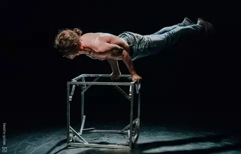 Spectacolul „Eine Kleine Nachtmusik”, de Gigi Căciuleanu, poate fi urmărit online miercuri, 25 martie