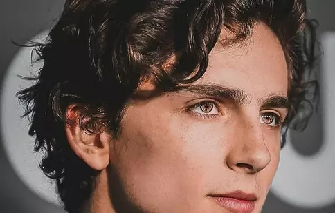 Timothée Chalamet, surprins în ipostaze romantice alături de o celebră actriță