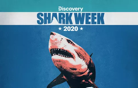 Seria „Rechinii uriași” aniversează 20 de ani, iar Discovery Channel a pregătit un program special începând de astăzi