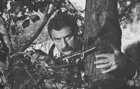 TVR 1 va difuza în fiecare sâmbătă câte un film din seria „Haiducilor”, șase dintre cele mai vizionate producții românești