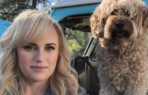 Din nou singură! Rebel Wilson s-a despărțit de iubit