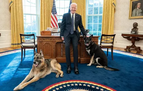 Incident la Casa Albă. Câinii noului președinte Joe Biden au fost trimiși înapoi acasă