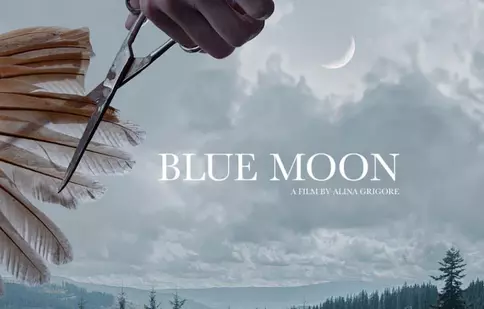 Filmele românești „Crai nou” și „Marocco” fac senzație la Festivalul de Film de la San Sebastian