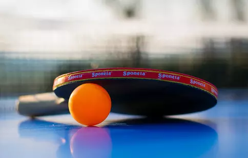 Cum Alegi o Masă de Ping-Pong