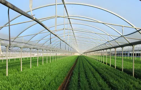 Folie profesională solarii – avantaje și metode de folosire