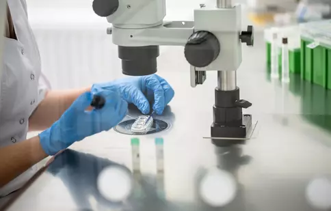  FIV: Ce presupune fertilizarea în vitro