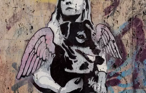 Premiere cinema, 15 aprilie 2022: „#dogpoopgirl”, „Băieții răi”, „Febra lui Petrov” și „Omul cu umbra”