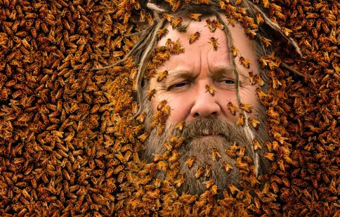 O nouă emisiune la Discovery. Când începe „Regele albinelor”